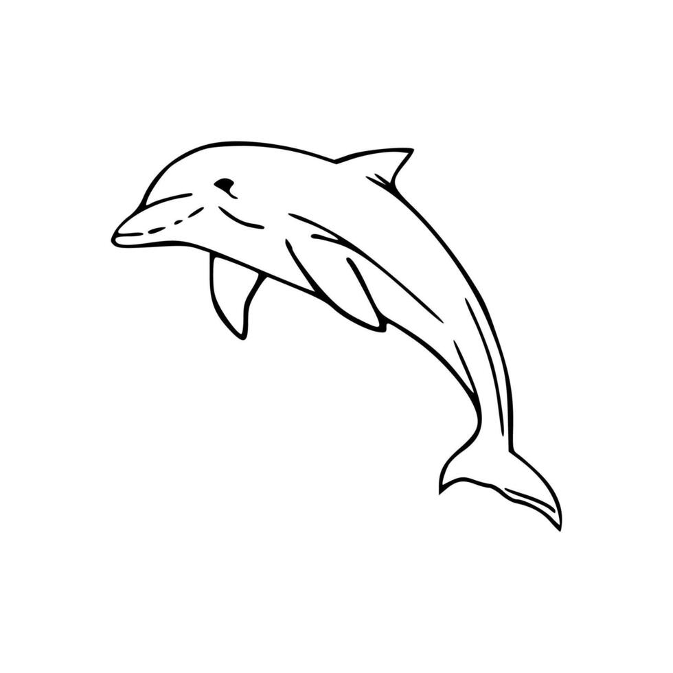 Dolphin coloring pages for kids vector
