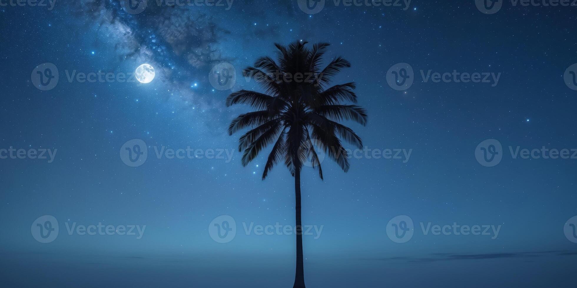 Serene Night Landscape with Silhouette of Palm Tree and Starry Sky. photo