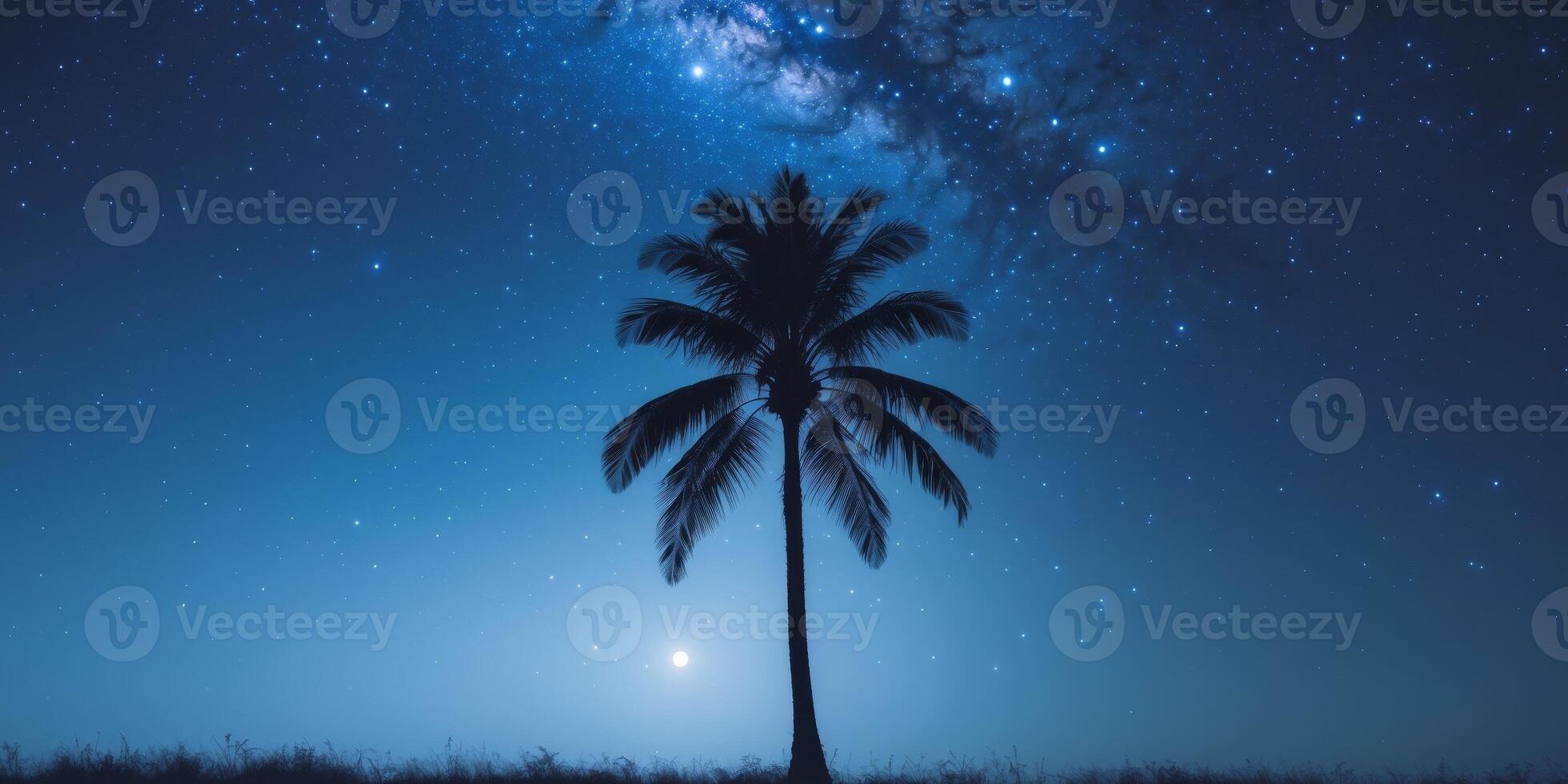 Serene Night Landscape with Silhouette of Palm Tree and Starry Sky photo