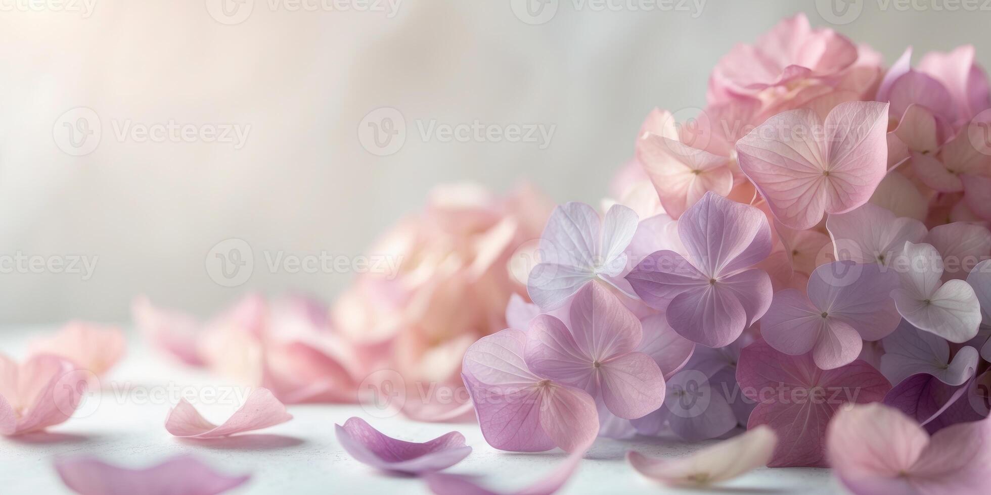 Pink and purple hydrangea petals background photo