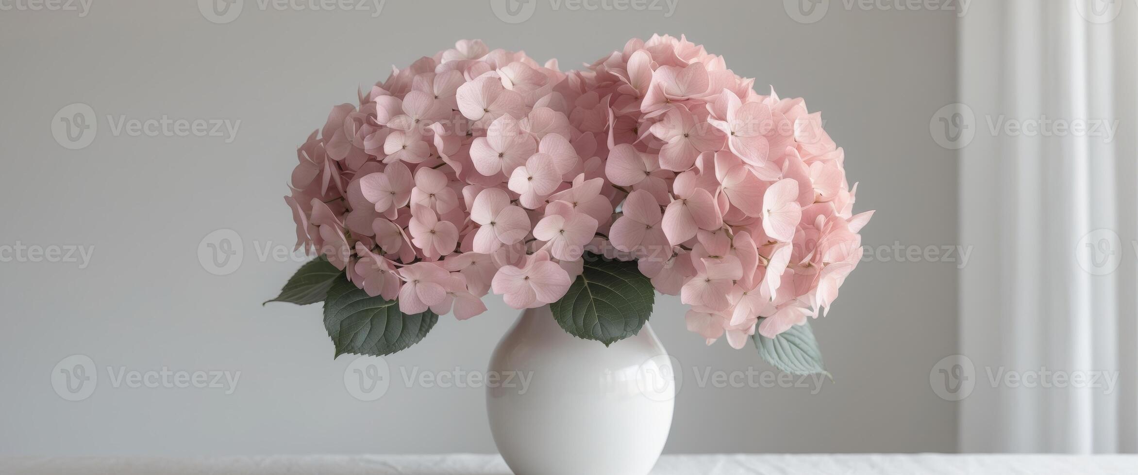 Elegant pink hydrangeas in white vase home photo