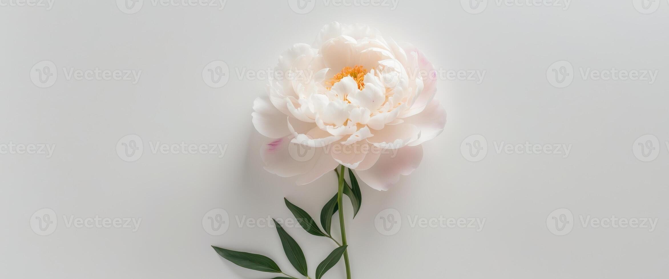 Bright summer card featuring peonies for various celebrations and special occasions photo