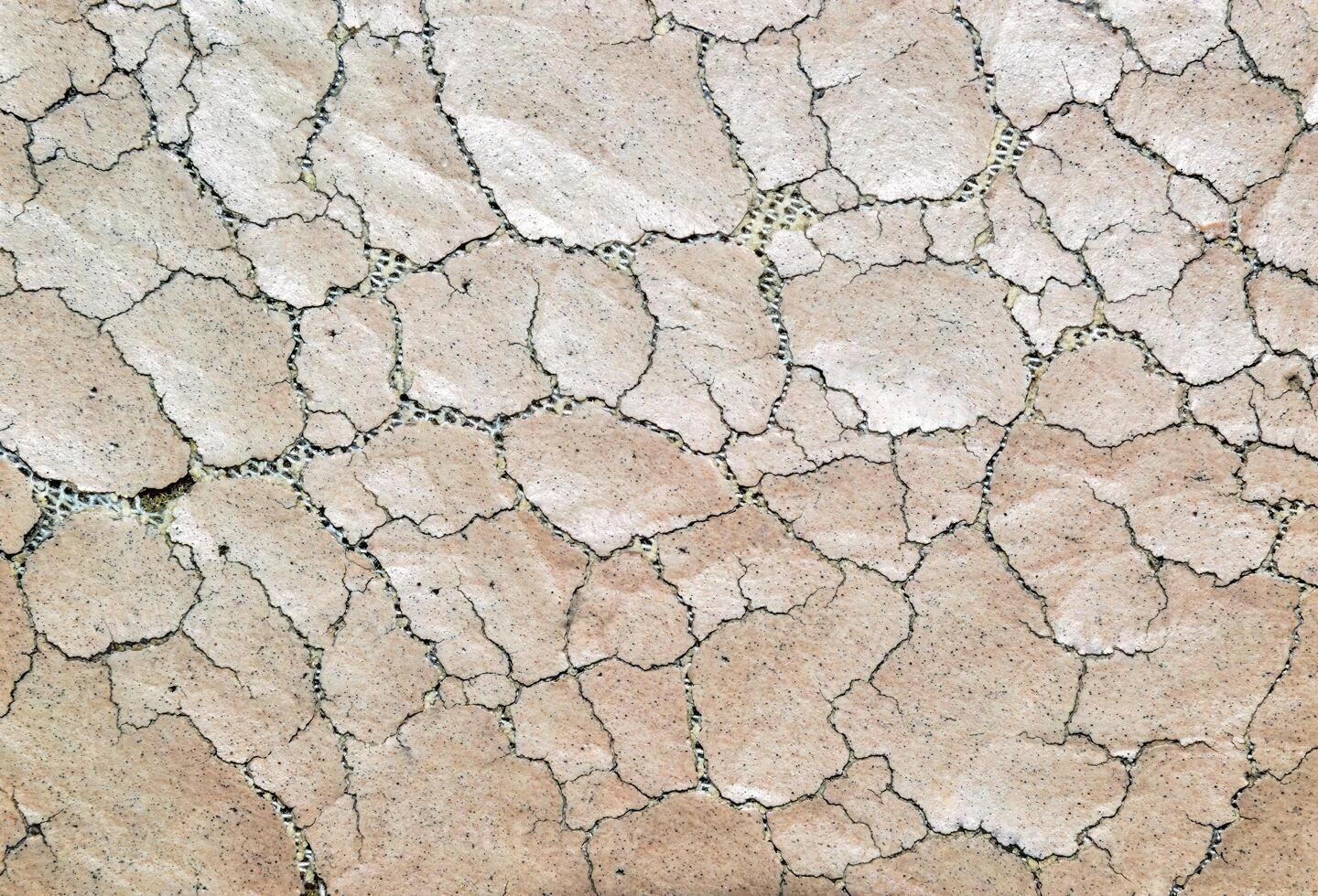 Beige background made of old shabby cracked leather photo
