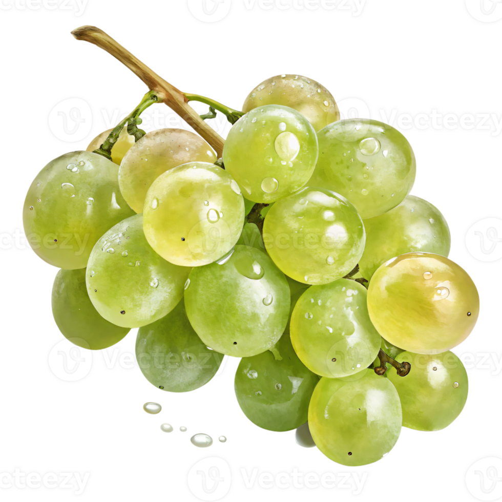 A cluster of green grapes with a translucent, glossy surface, showcasing natural highlights png