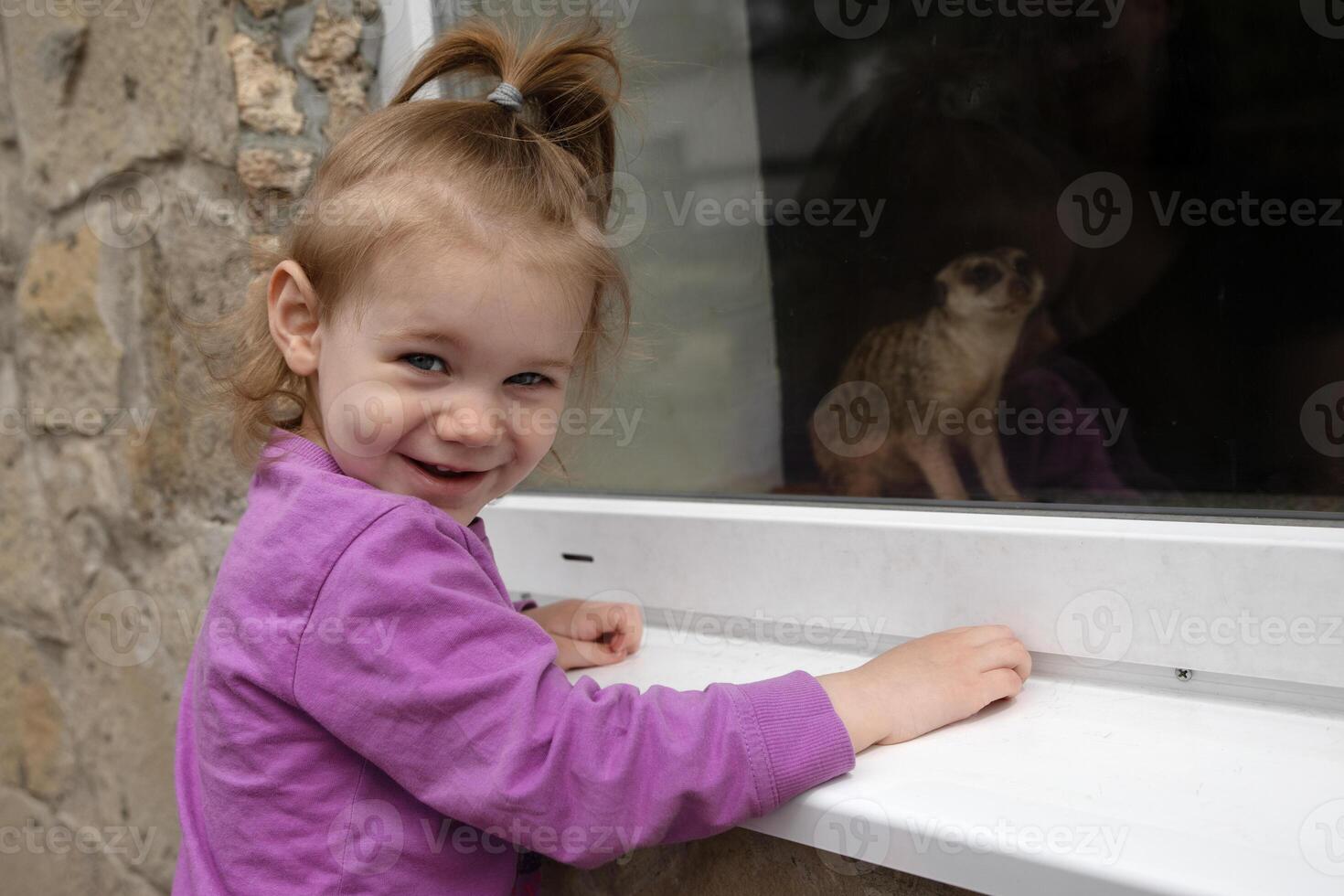 little girl and meerkat photo