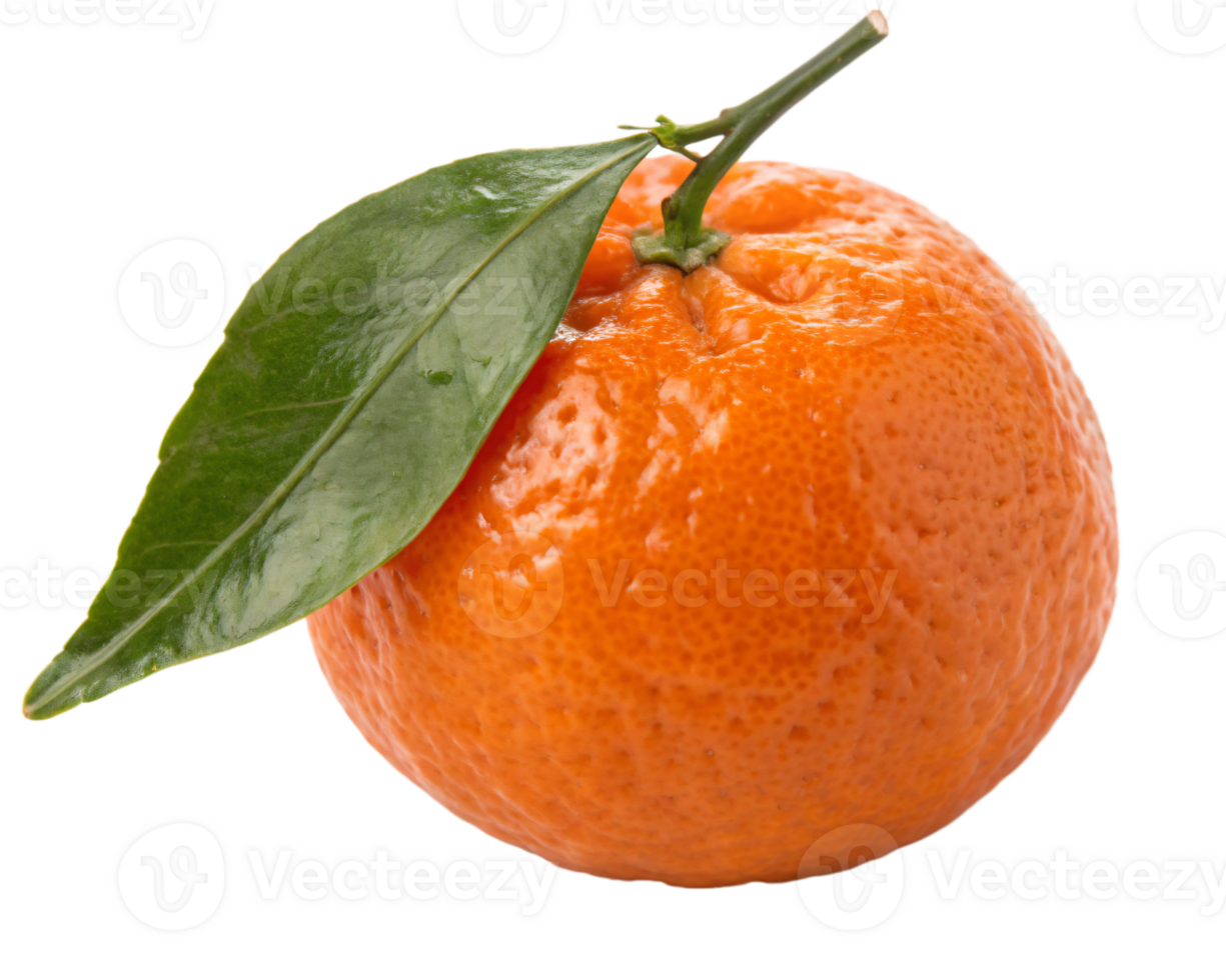 A small, bright orange clementine with a smooth, glossy skin and a fresh, juicy appearance. png