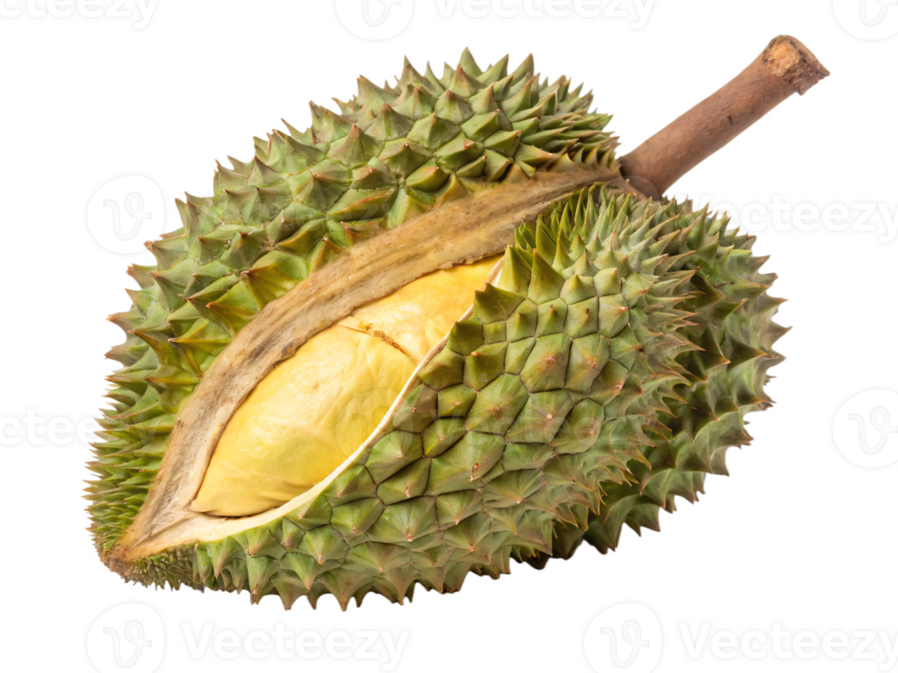 A spiky, greenish-brown durian with a rough, textured skin and a fresh, exotic appearance. png