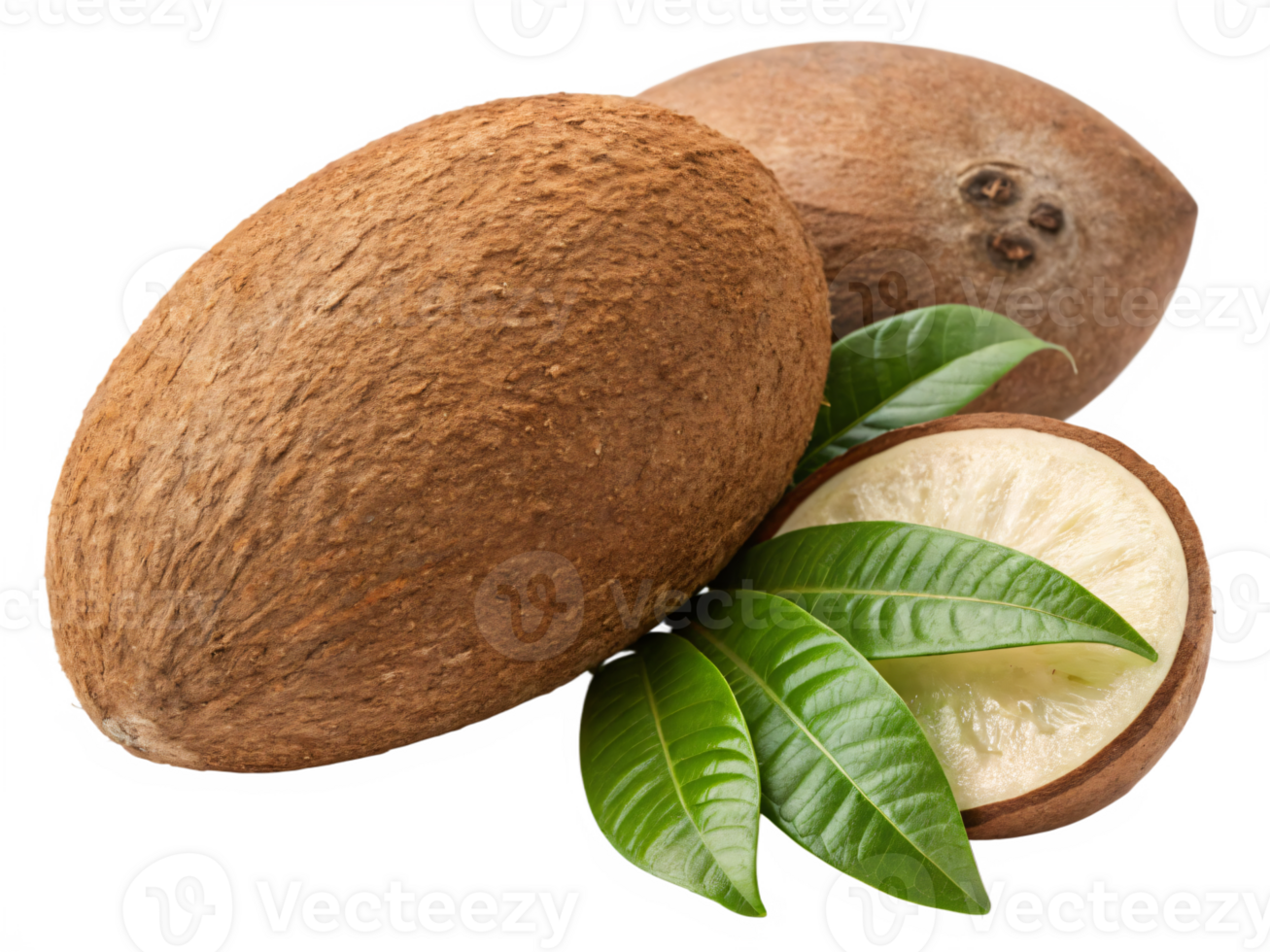 A large, brown cupuacu with a textured, matte skin and a fresh, tropical aroma. png