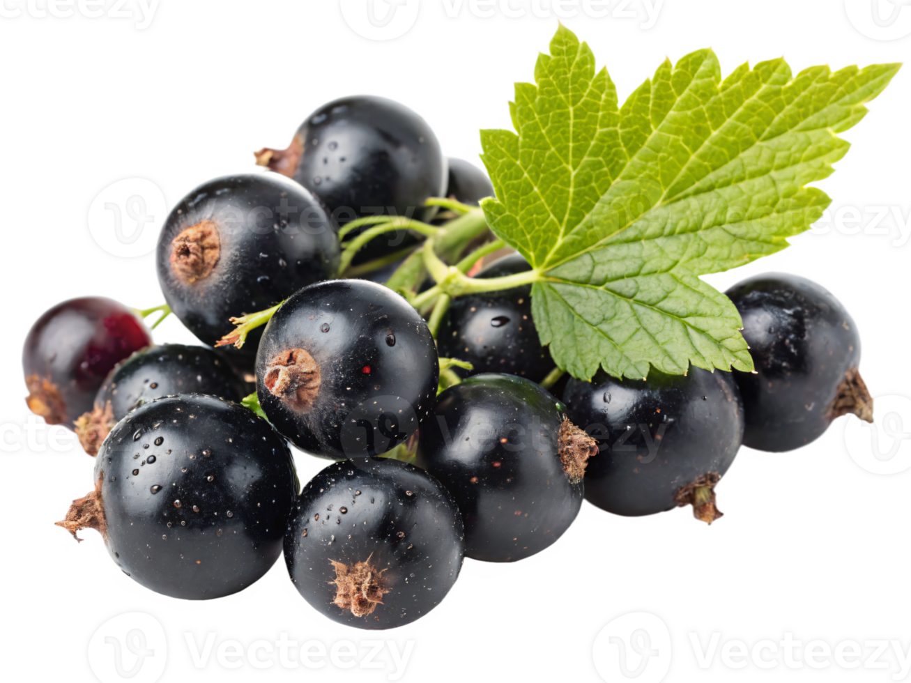 A cluster of black currants with a glossy, matte surface and a fresh, sweet appearance. png