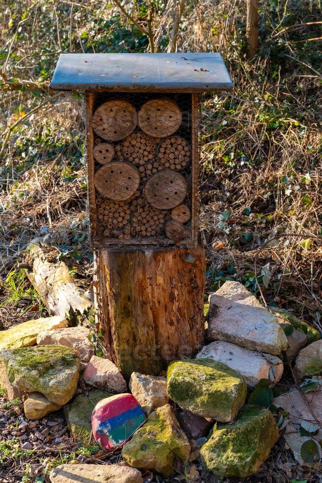 Bee hotel designed to support pollinators in a natural garden setting during a sunny day photo