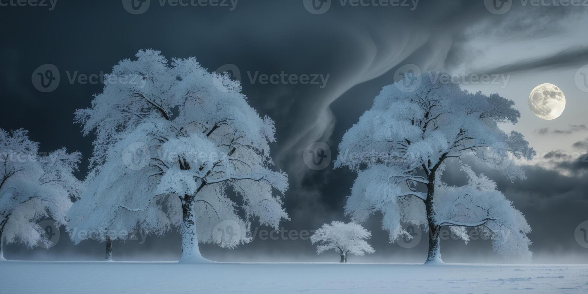 Winter Wonderland with Snow Covered Trees Moonlight and Dark Clouds photo