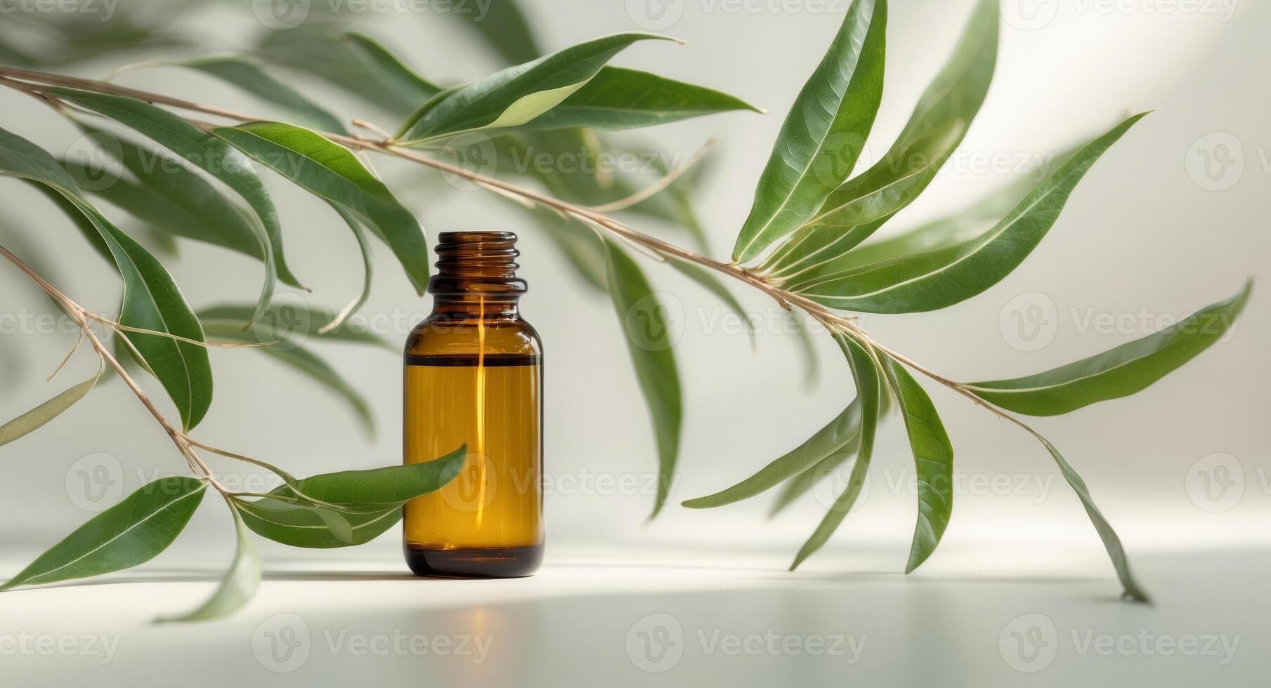 Fresh tea tree leaves and amber glass bottle with tea tree oil. photo