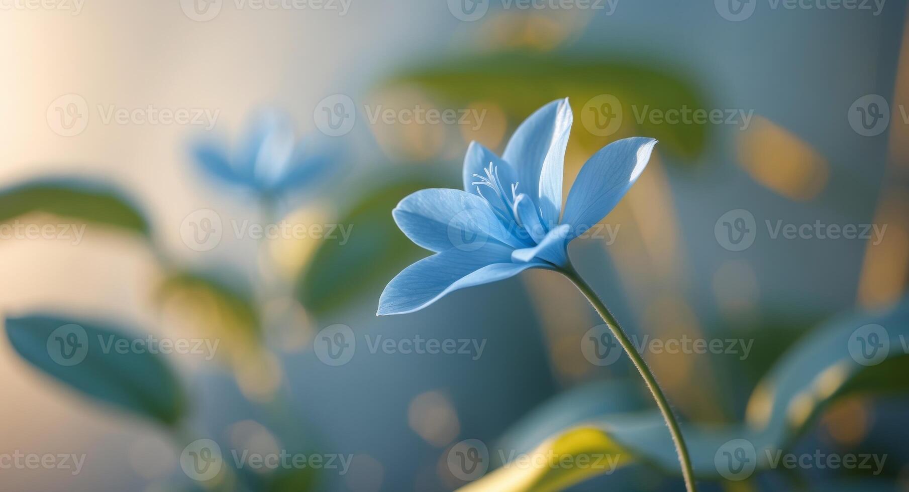 blue flower close up on plant background. photo