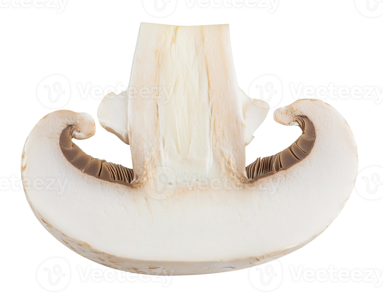 fresh white mushroom half cut showing gills and smooth texture, champignon mushroom on isolated background png