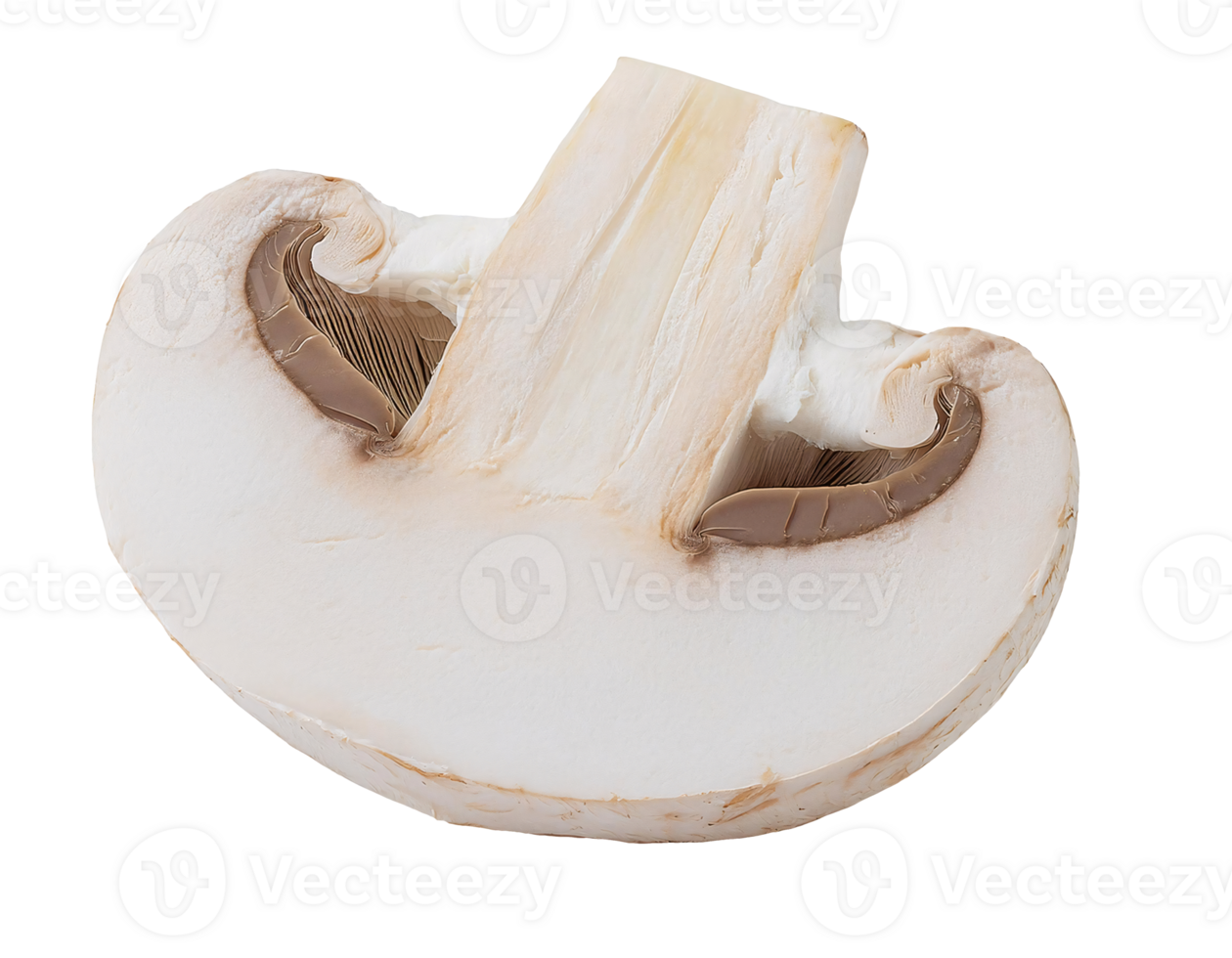 fresh white mushroom half cut with visible gills and soft texture, champignon mushroom on isolated background png