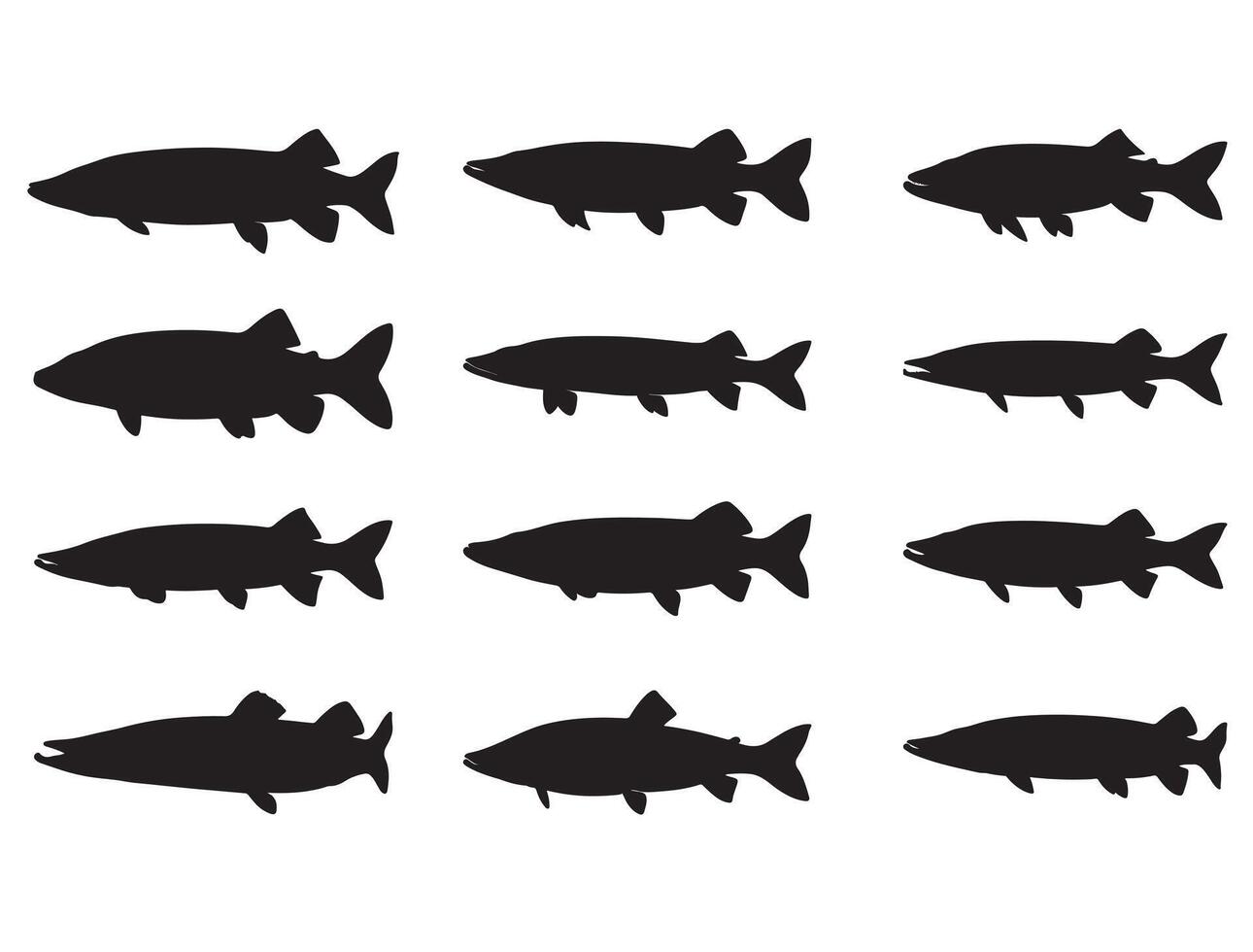 Muskellung fish silhouette white background vector