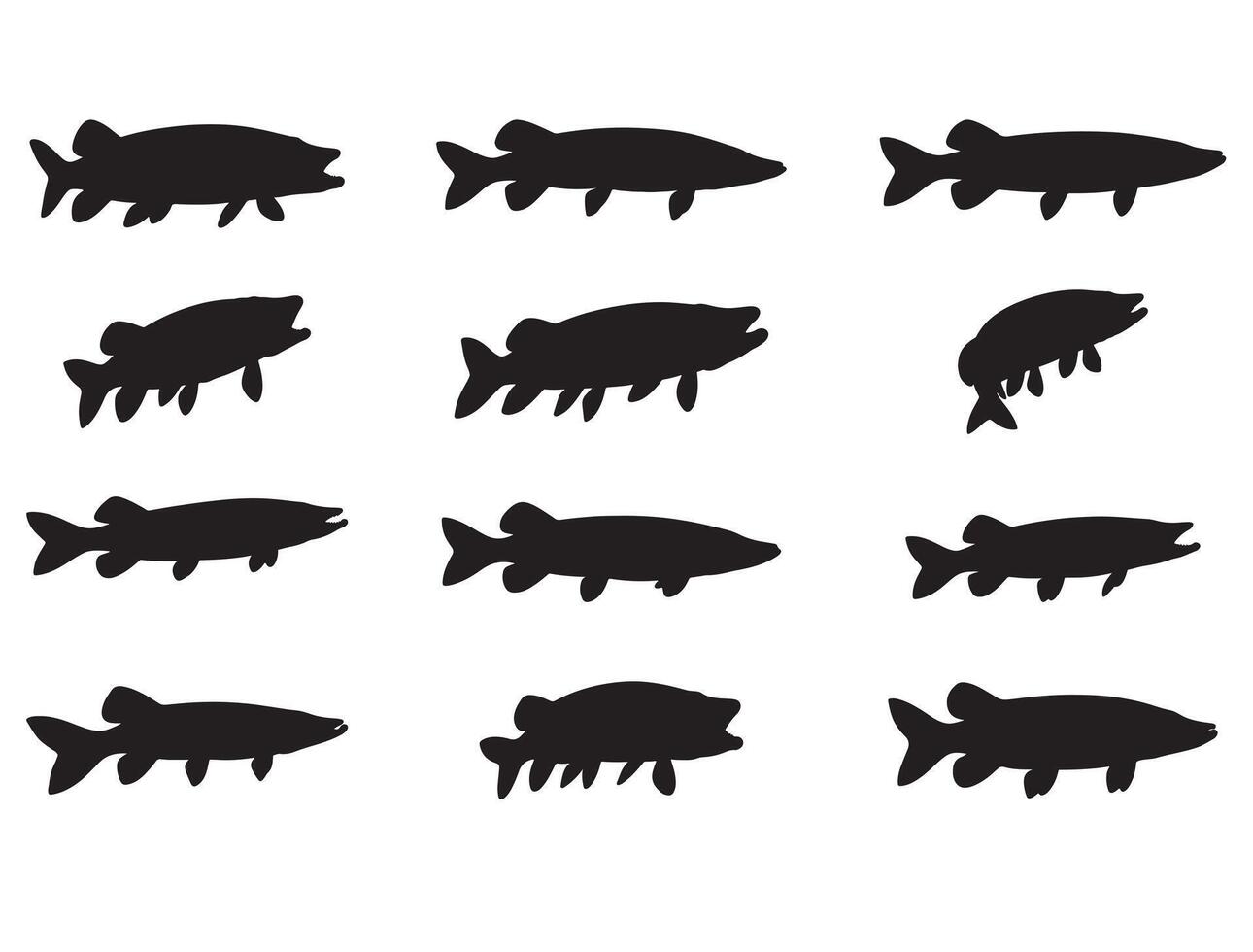 Nothern pike fish silhouette white background vector