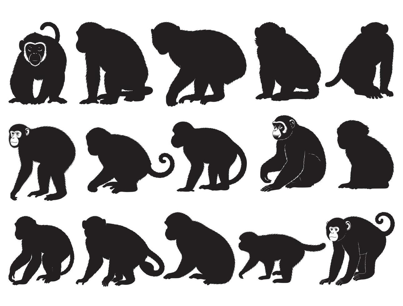 Monkeys silhouette white background vector
