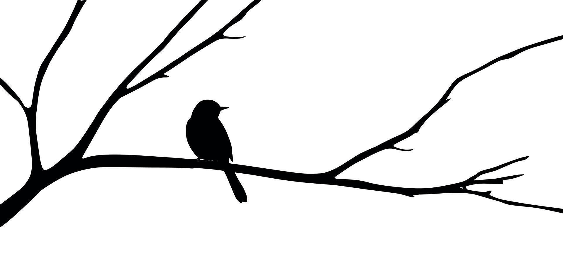 Bird on tree branch silhouette illustration with a white background vector
