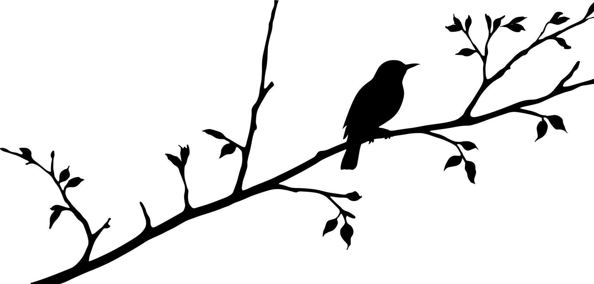 Bird on branch silhouette with a white background vector