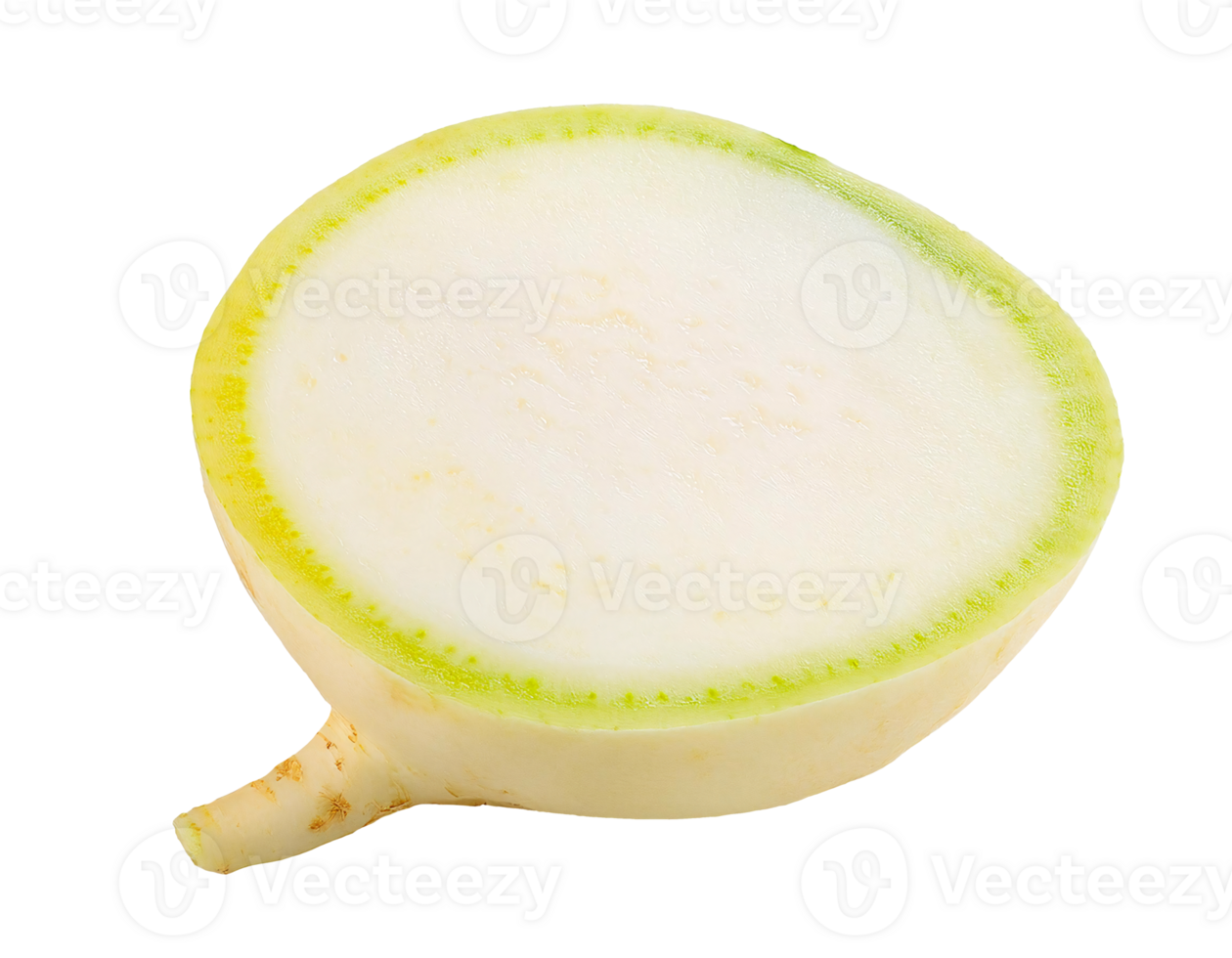 fresh organic turnip round slice with green edge on isolated background png