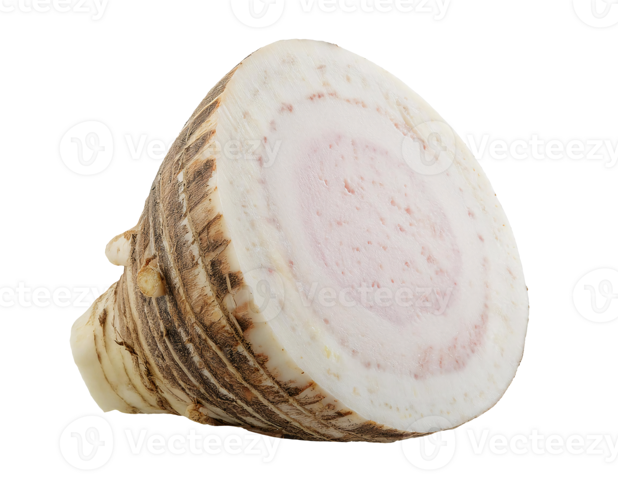 fresh taro root with sliced cross-section showing pinkish white starchy texture on isolated background png
