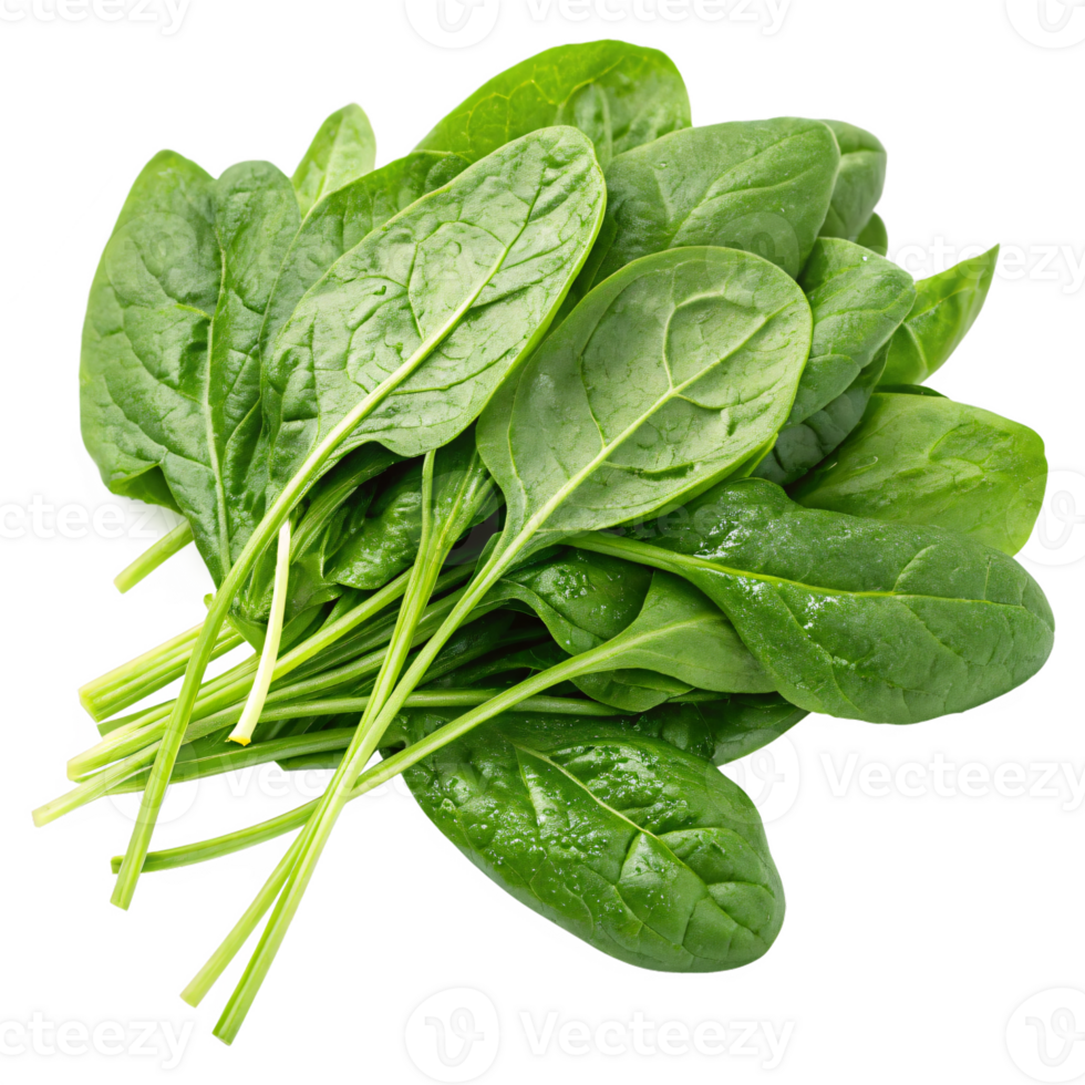 A handfulof fresh spinach leaves with vibrant green color and delicate, crinkled textures. png