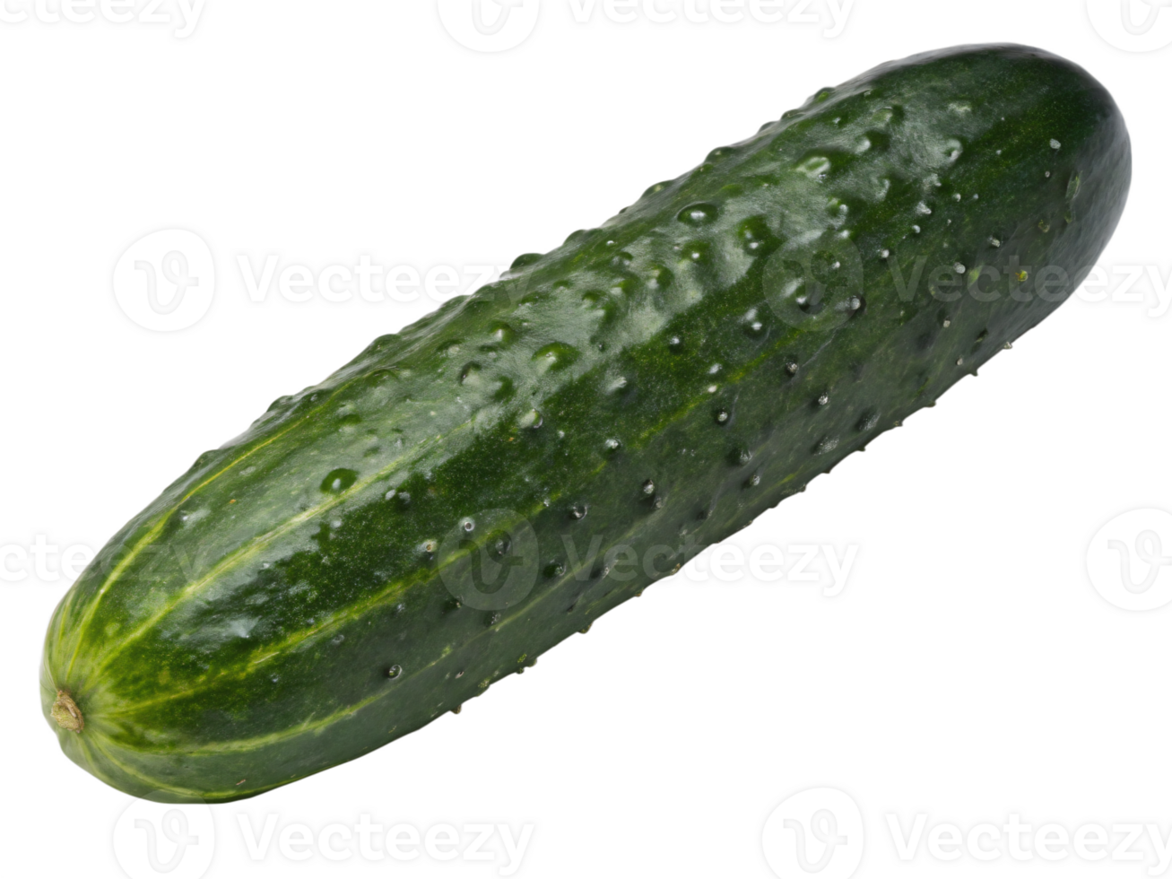 A dark green cucumber with a slightly bumpy texture and a fresh, dewy appearance. png