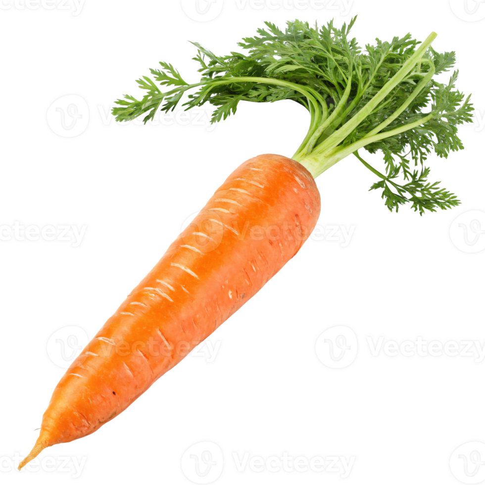 A hyper-realistic carrot with a vibrant orange hue, smooth skin, and fine root hairs. png