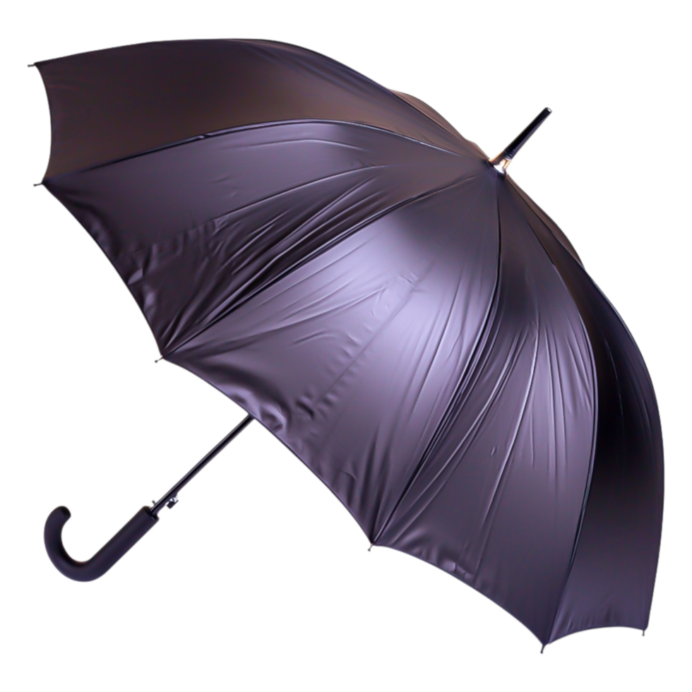 Elegant Black Umbrella with a Stylish Curved Handle for Rain Protection png