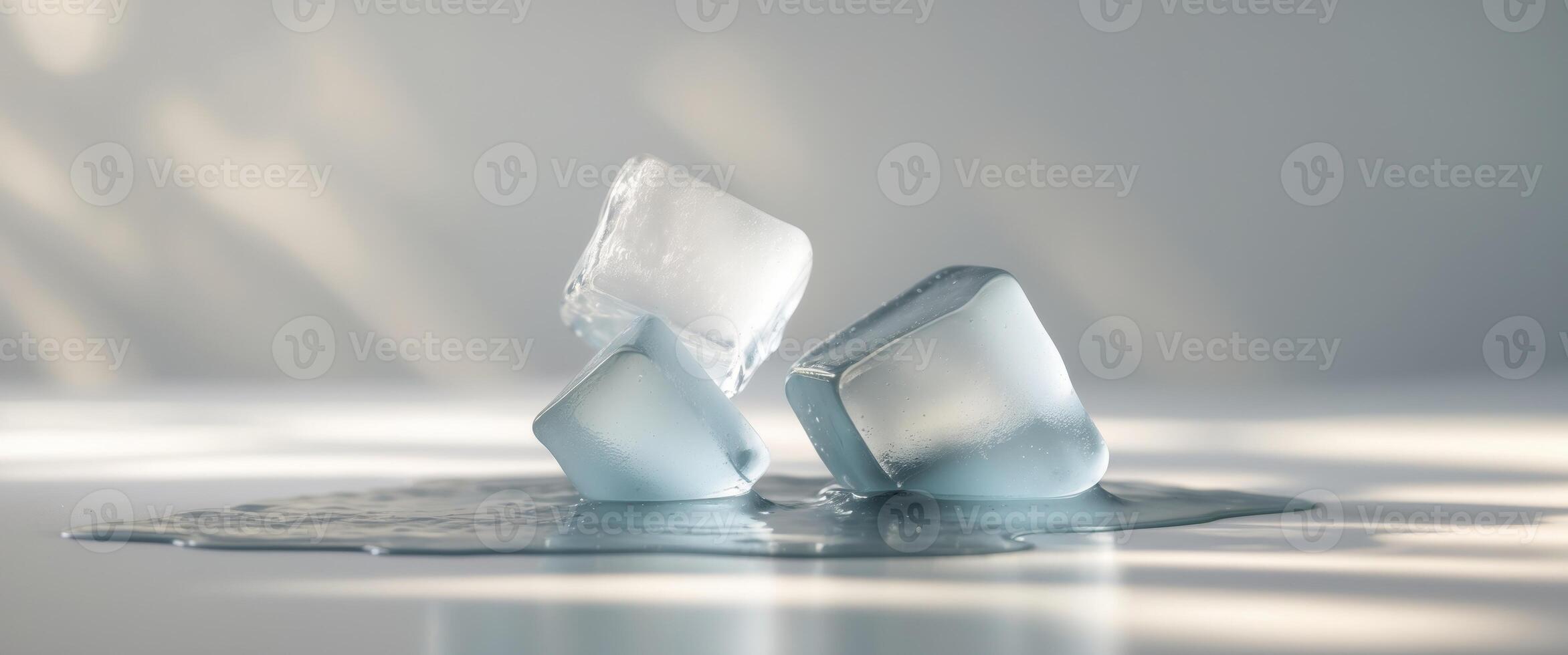 Melting Ice Cubes in Soft Diffused Light photo