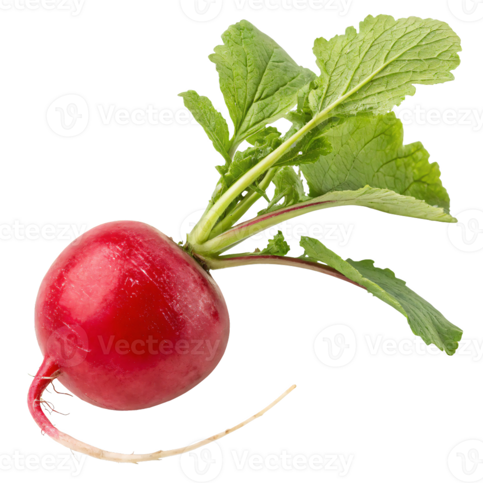 A bright red radish with a smooth, glossy surface and fresh green leaves. The vegetable is vibrant png