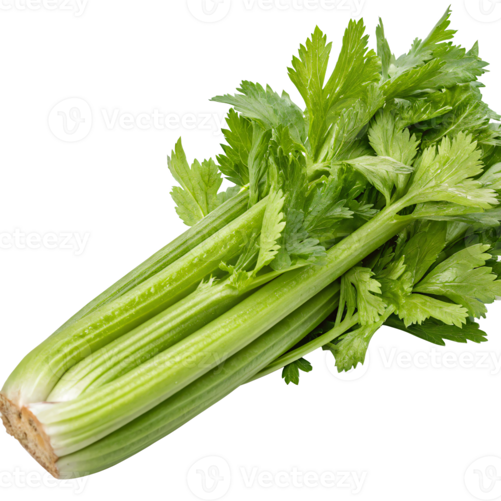 A bunch of fresh celery stalks with crisp, ribbed surfaces and vibrant green leaves. png