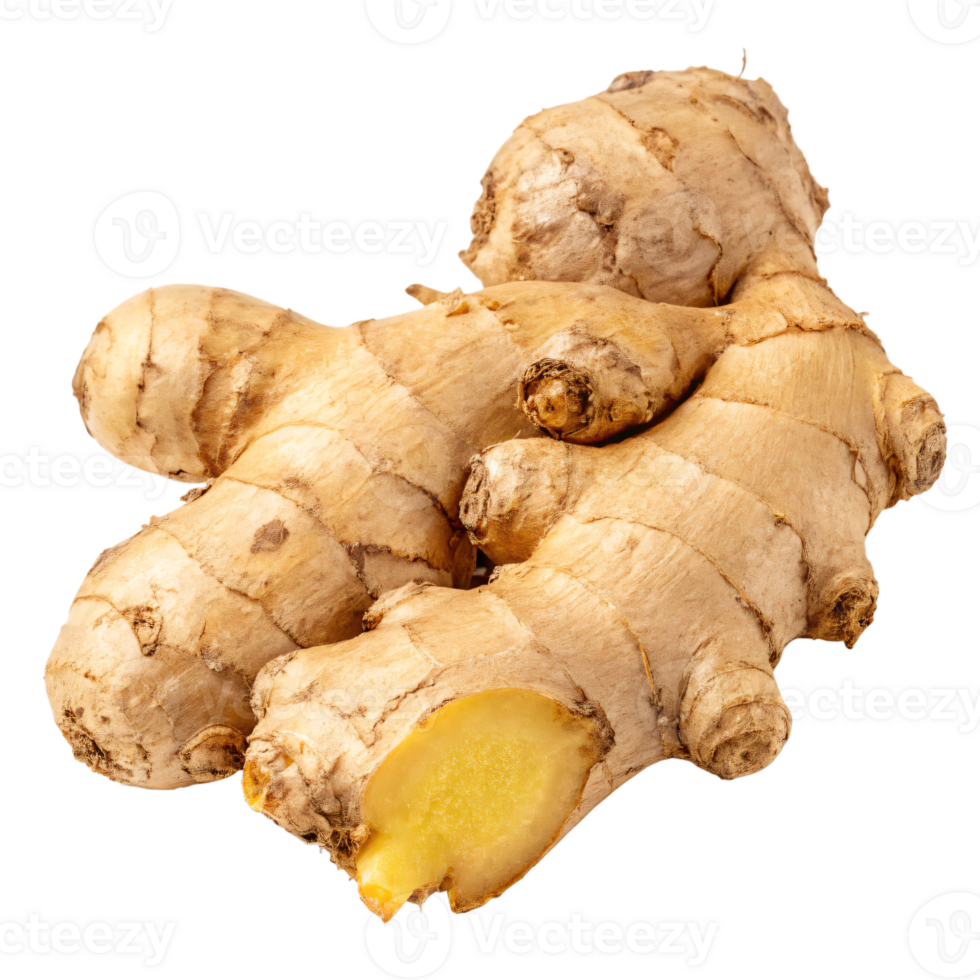 A fresh ginger root with a knobby, tan surface and a textured appearance. png