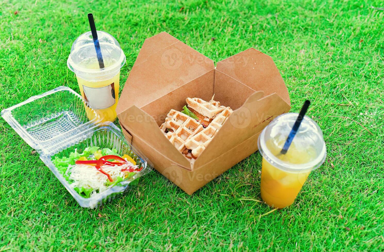 Take away food with plastic box with salad and craft box with waffles, cups of iced tea on green grass photo