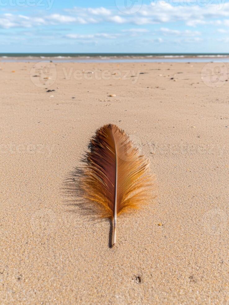 Single brown feather on sandy beach near ocean photo