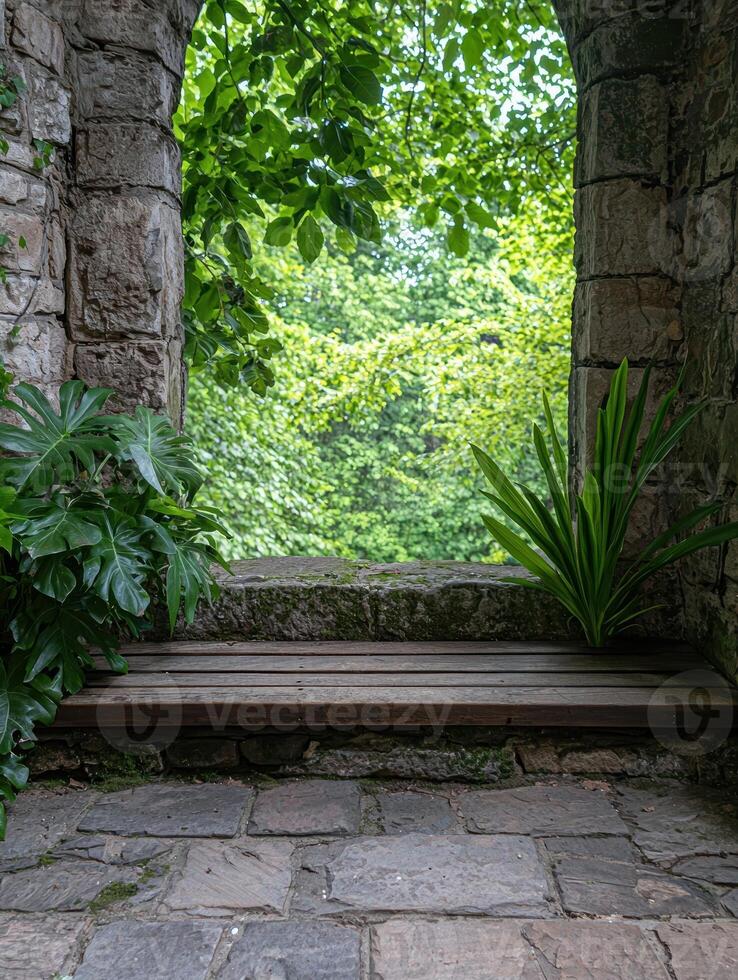 Stone bench in a garden with lush greenery photo