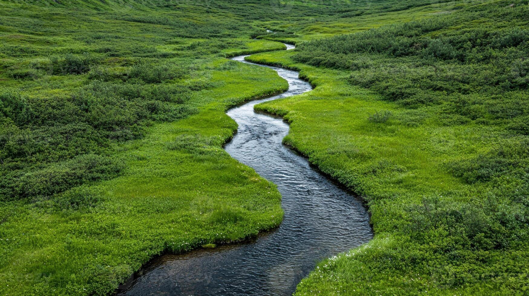 Serpentine river flowing through lush green valley photo