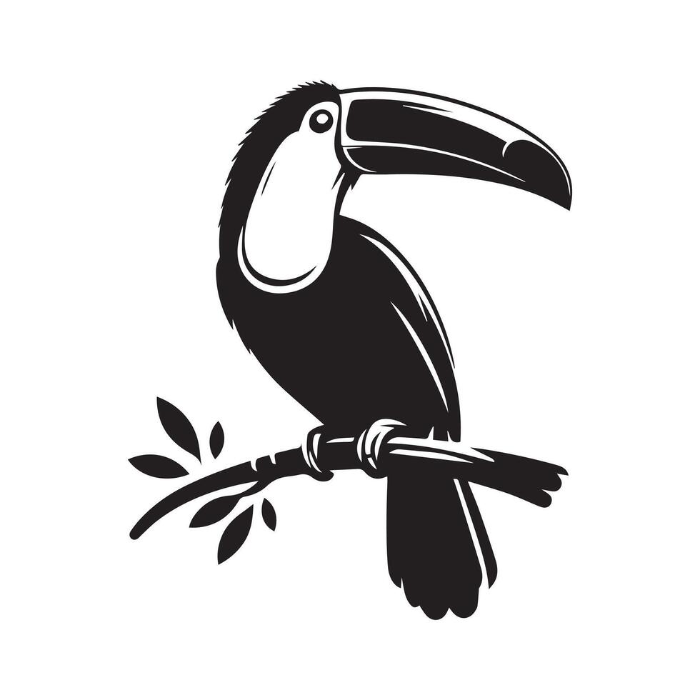 toucan bird on branch illustration vector