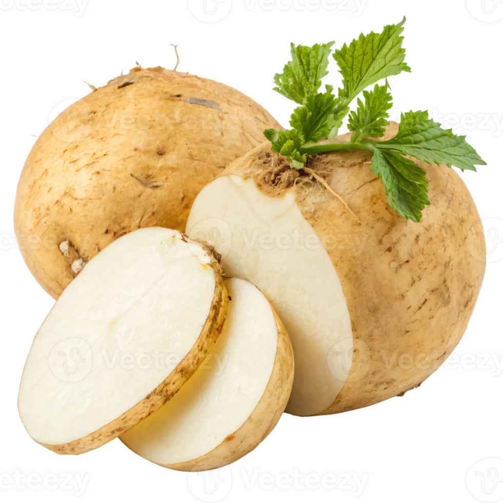 A fresh jicama with a round, tan skin and a crisp, white interior. The vegetable is vibrant png