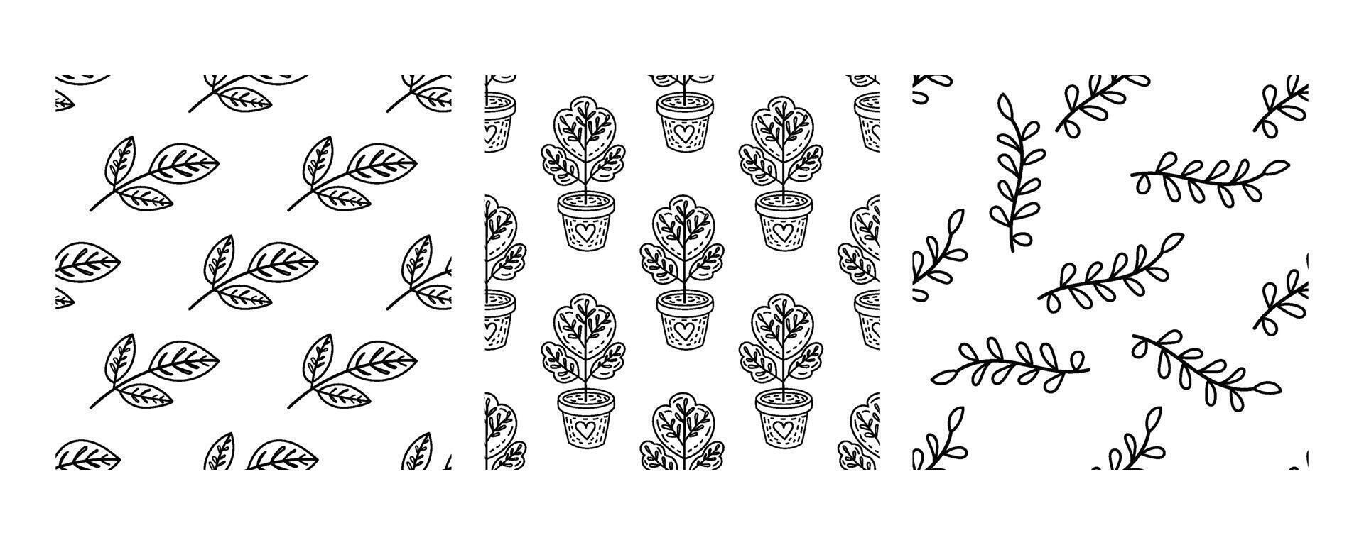 Seamless black and white botanical patterns with leaves and potted plants vector