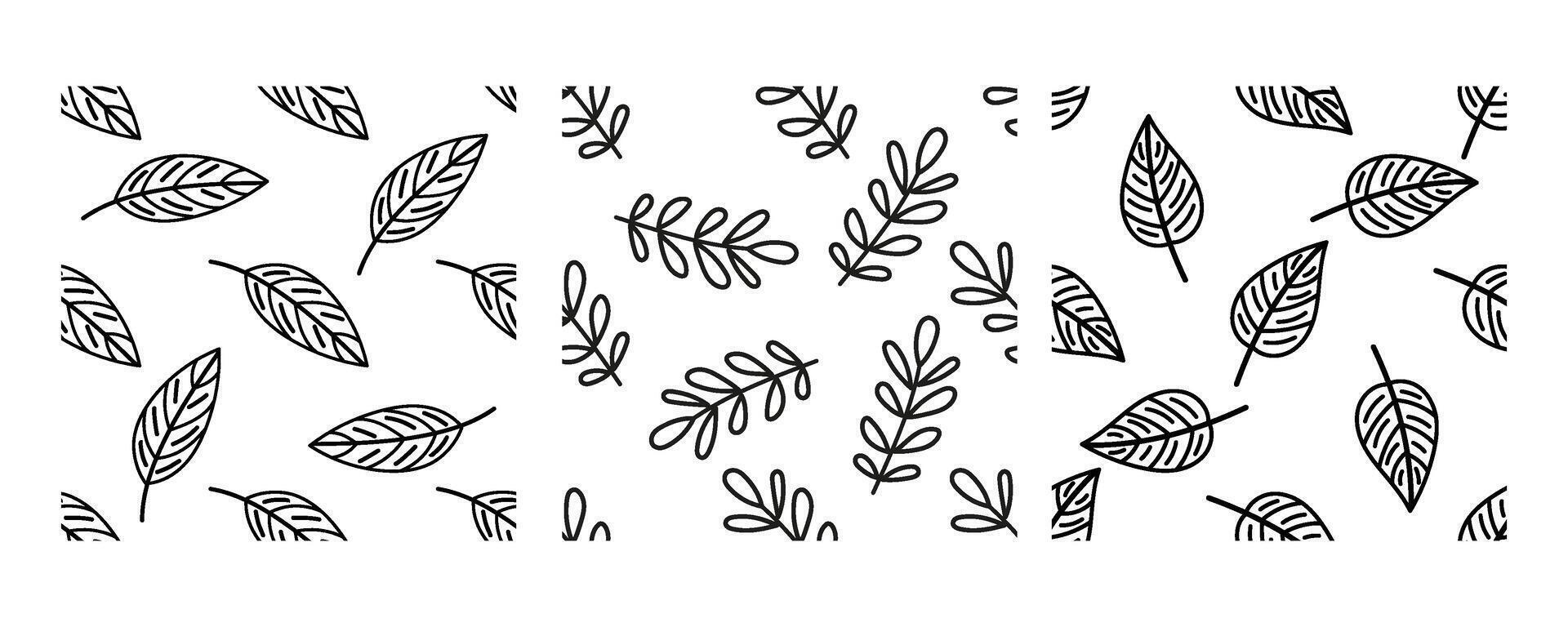 Seamless black and white botanical patterns with hand drawn leaves and branches vector