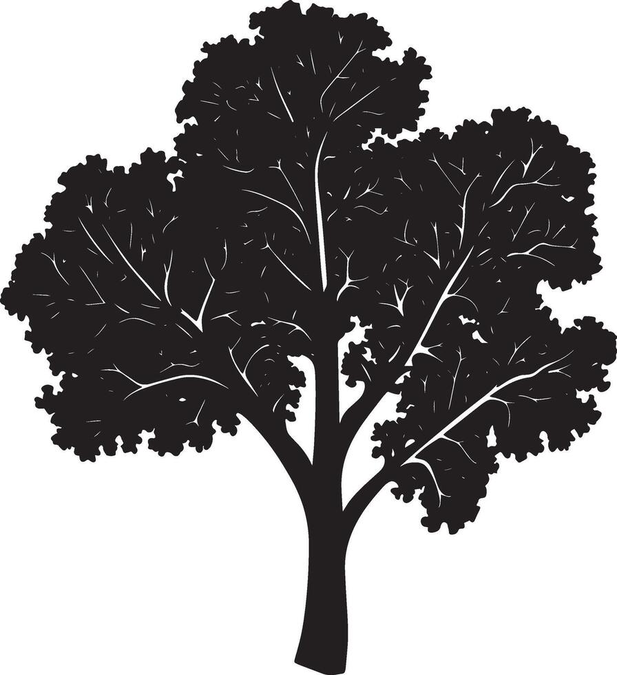 Black illustration of a simple kale vegetable silhouette vector