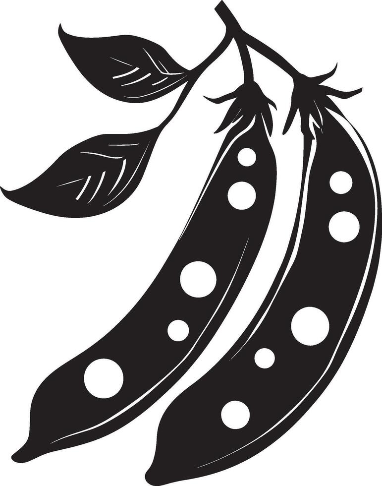 black and white illustration of a pod of black beans vector