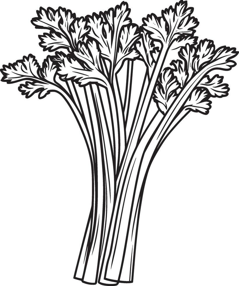 Celery outline black illustration vector