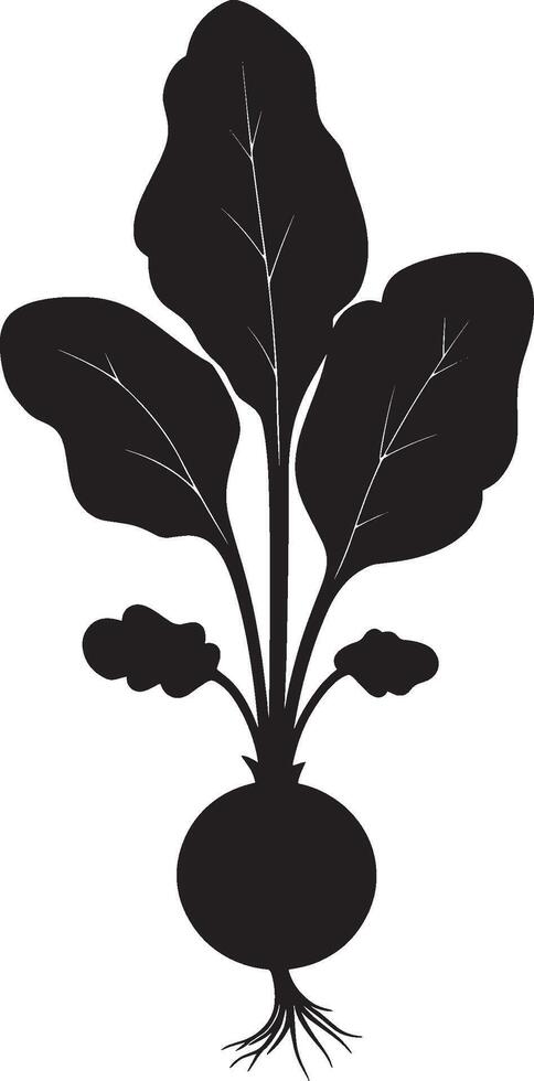 Radish simple silhouette black illustration vector