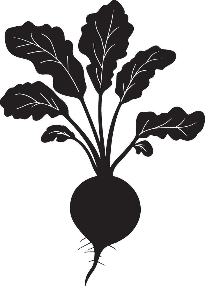 Beetroot icon black illustration vector