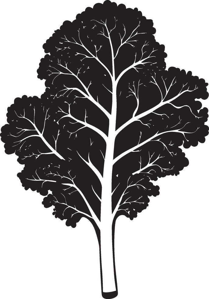 Minimalist black silhouette of kale in format vector
