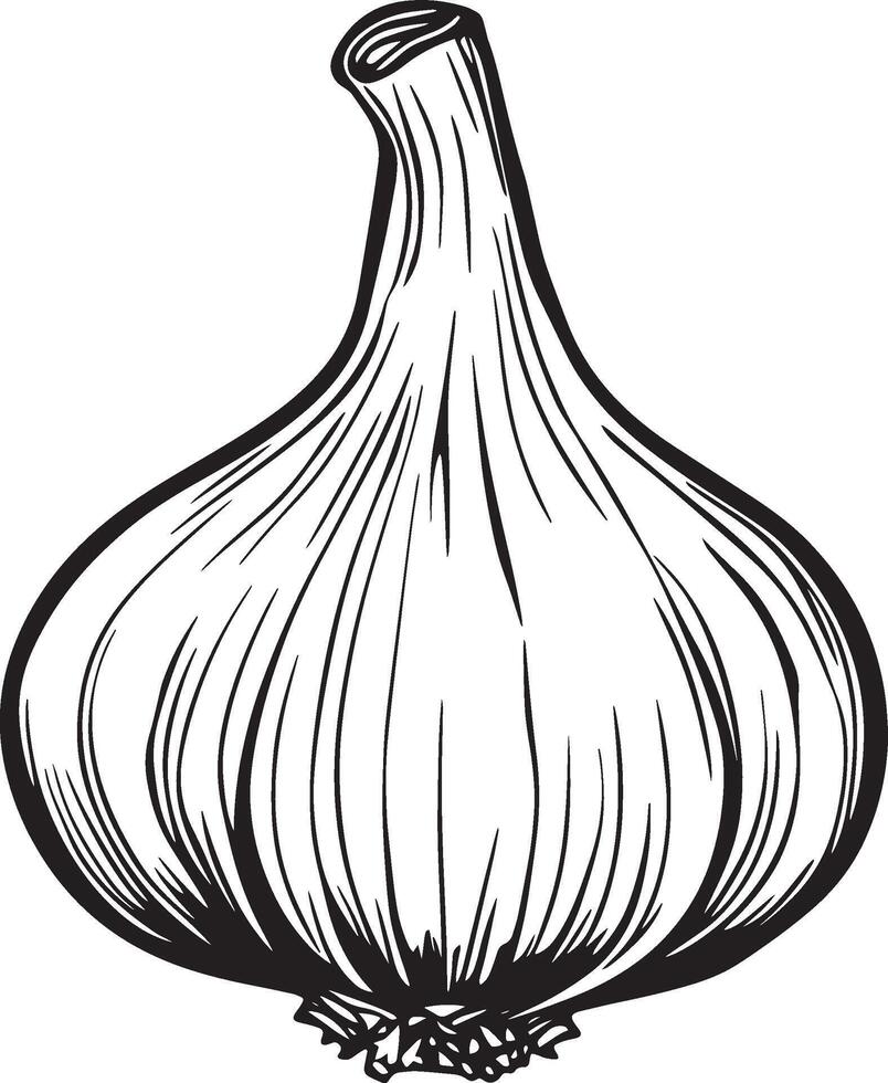Monochrome illustration of a garlic symbol vector