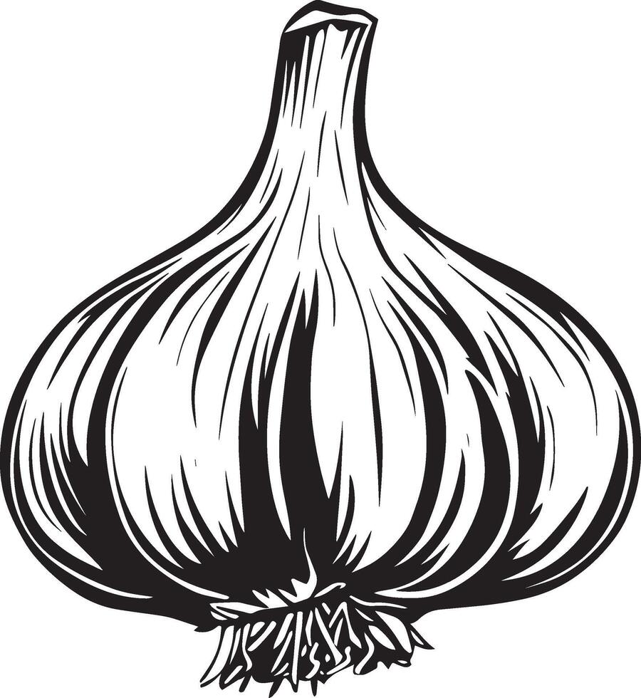 Garlic simple silhouette black illustration vector